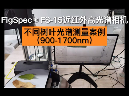 FS15-測(cè)樹葉