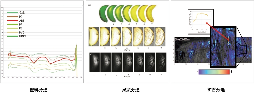 應用領域.png